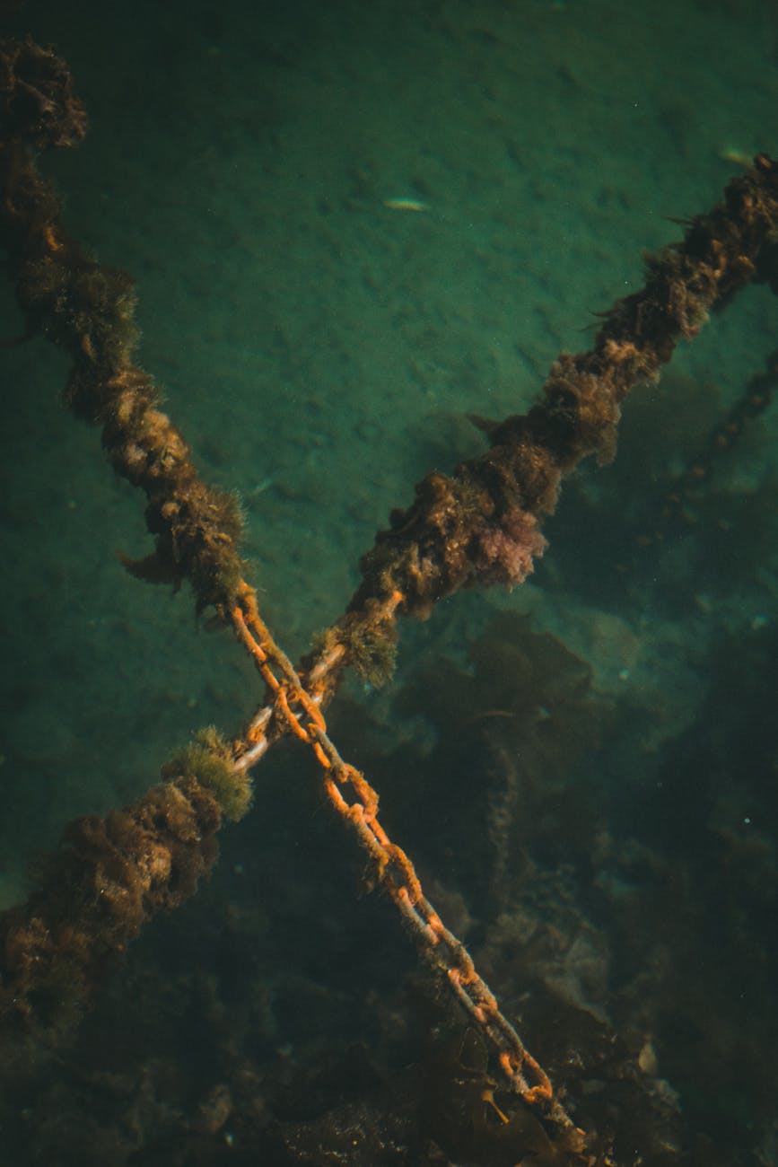 Underwater drone and subsea technology concept image